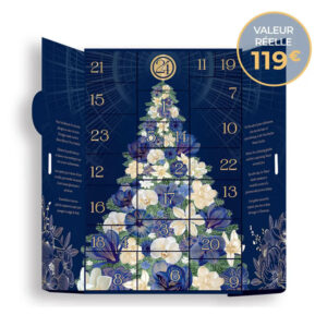 calendrier de lavent yves rocher 2024 coffret beaute pas cher